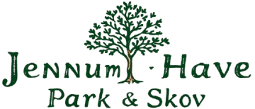 Jennum Have, Park og Skov